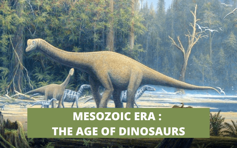 MESOZOIC ERA : THE AGE OF DINOSAURS