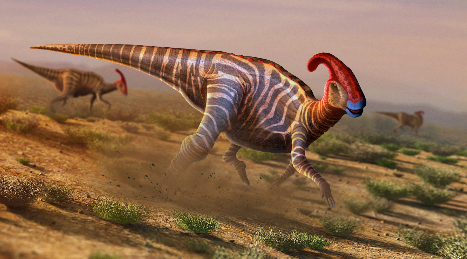 Parasaurolophus: Unraveling the Mysteries of its Magnificent Crest