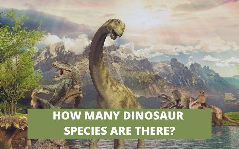 HOW MANY DINOSAUR SPECIES ARE THERE?