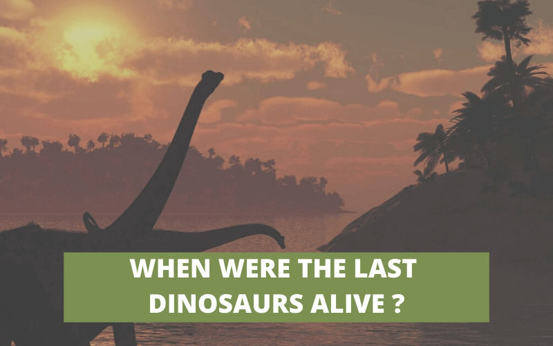 WHEN WERE THE LAST DINOSAURS ALIVE?