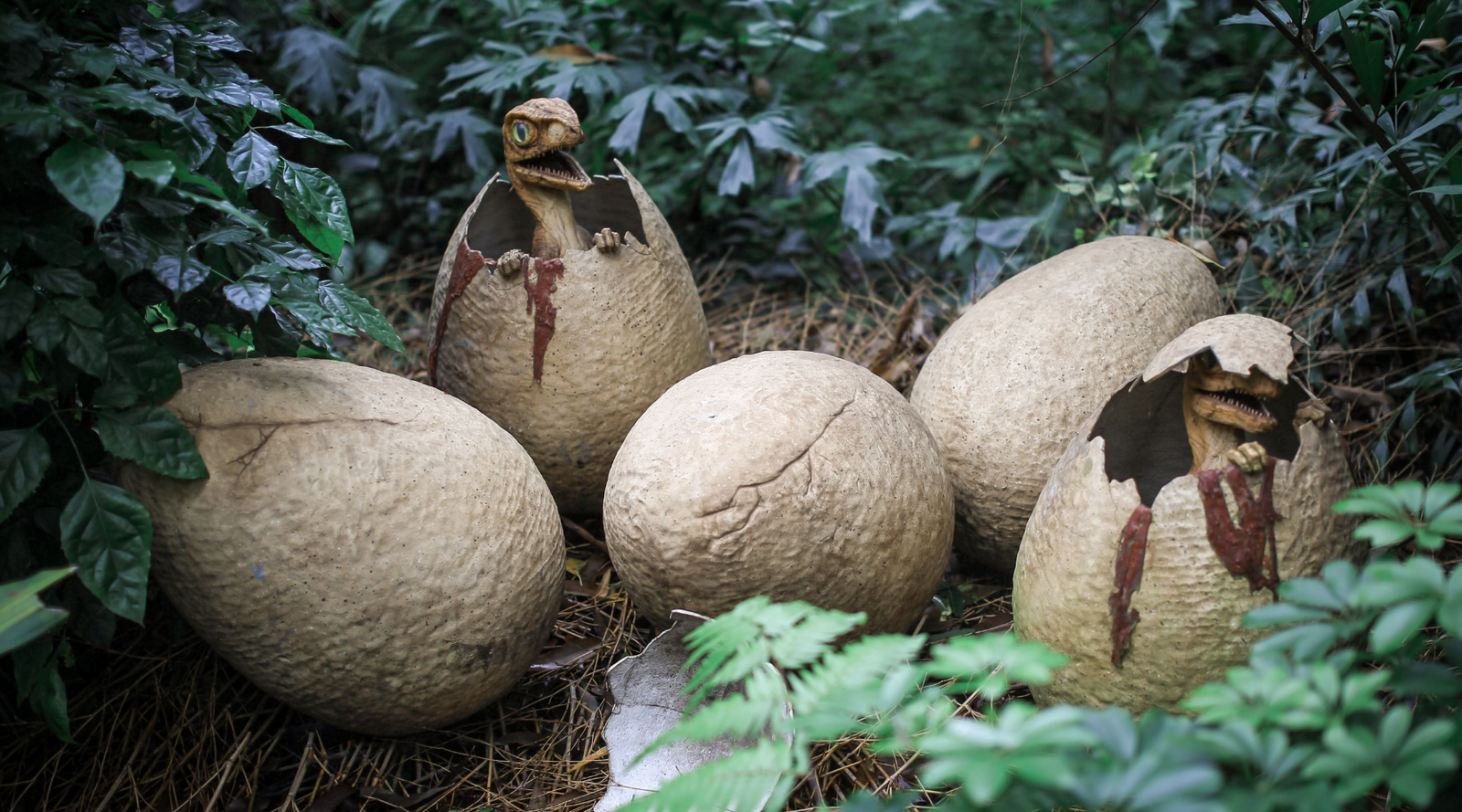 Uncovering the Omnivorous Appetites of Dinosaurs: Exploring the Diet of Prehistoric Beasts