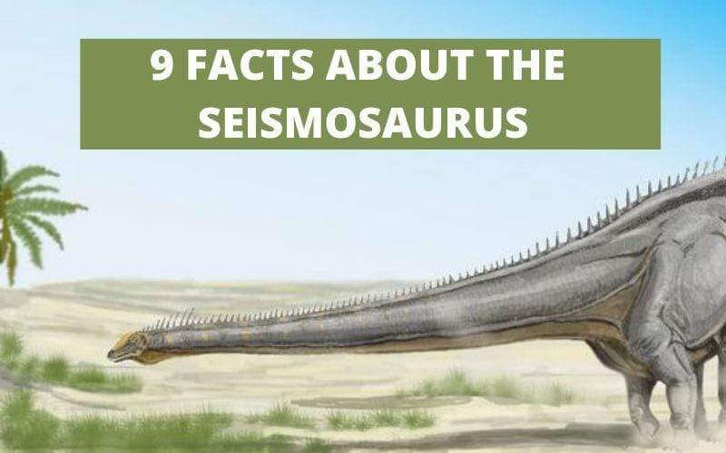 9 FACTS ABOUT THE SEISMOSAURUS