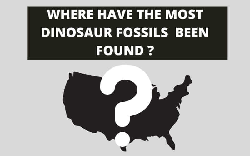 WHERE HAVE THE MOST DINOSAUR FOSSILS BEEN FOUND ?