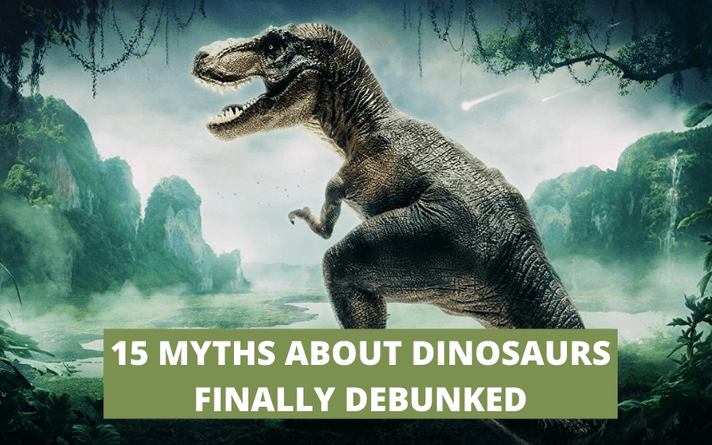 15 Misconceptions and Myths about Dinosaurs debunked