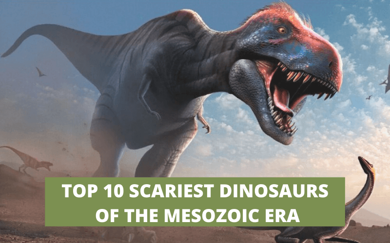 TOP 10 SCARIEST DINOSAURS OF THE MESOZOIC ERA