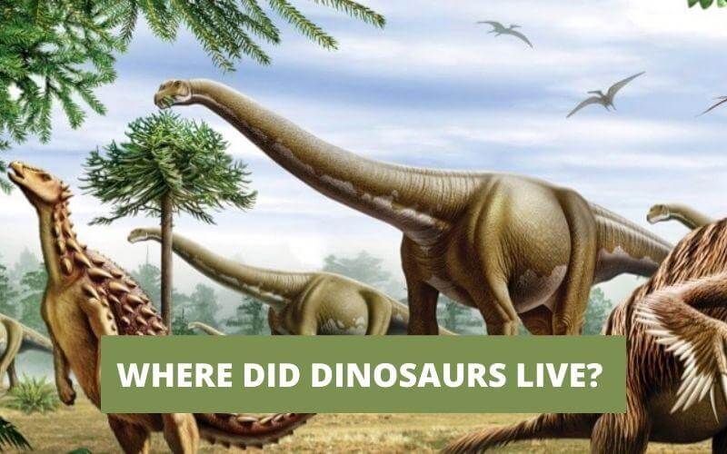 Where Did Dinosaurs Live?