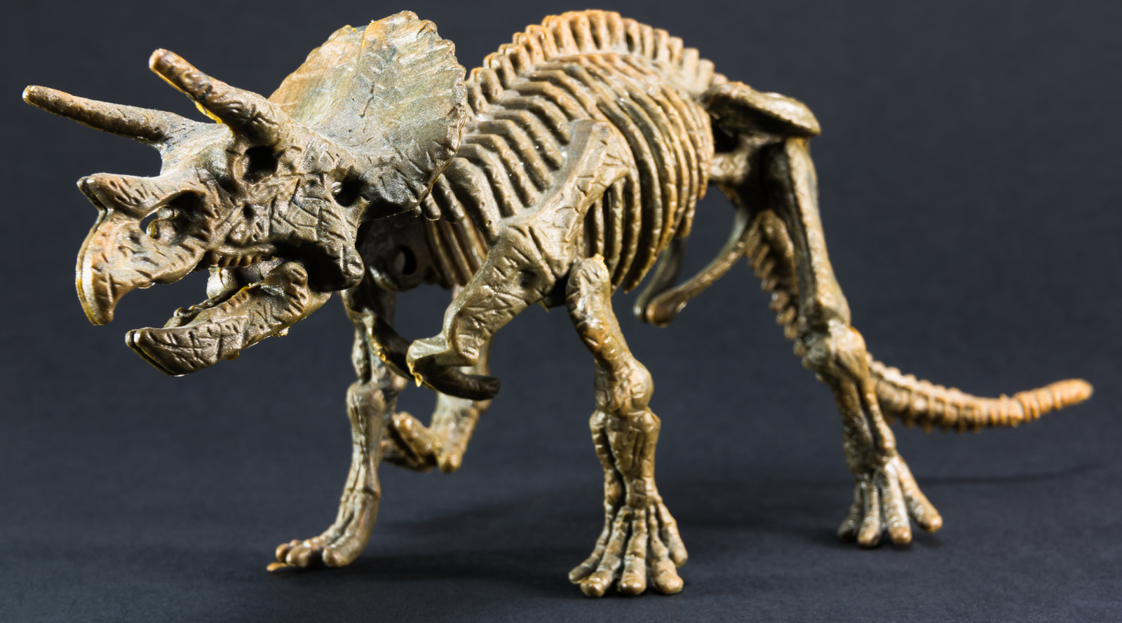 Triceratops in Popular Culture: A Journey Through Time and Imagination