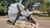 Where to Find Triceratops Fossils in North America?
