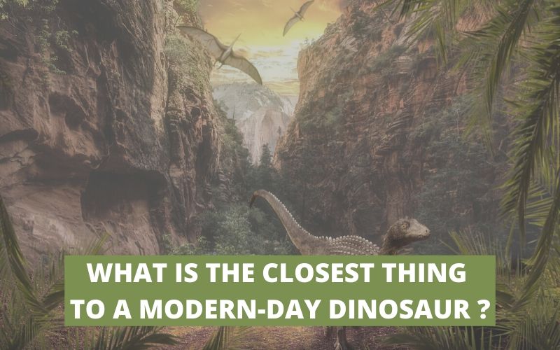 what is the closest thing to a modern-day dinosaur?