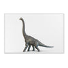 Gentle Giant: Brachiosaurus Rug for Dinosaur Enthusiasts