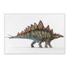 Dino Playtime: Stegosaurus Rug