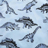 Dinosaur Kid Tee Shirt Light Blue