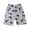 Short Sleeve Dinosaur Pajamas